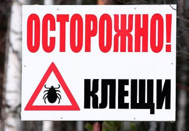 Осторожно клещи!!!
